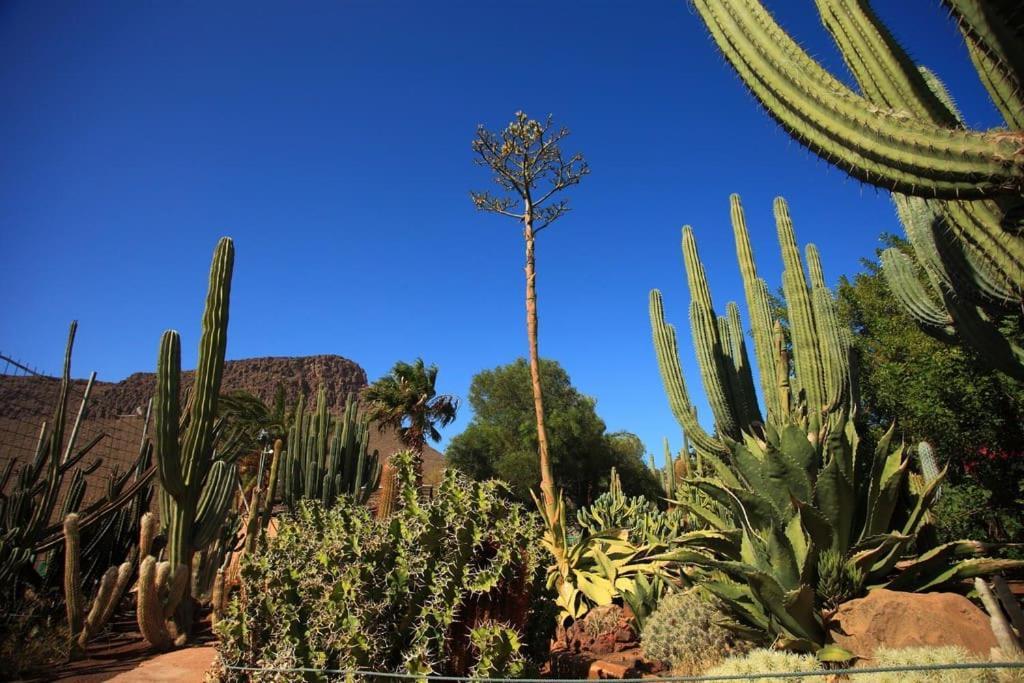 Green Oasis Maspalomas Garden 11 Экстерьер фото